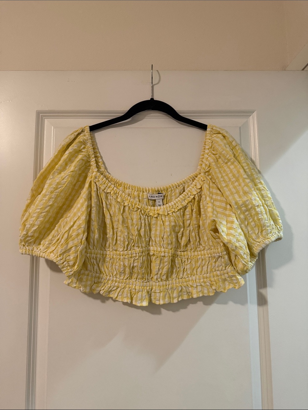 And Now This  Smocked Crop Top